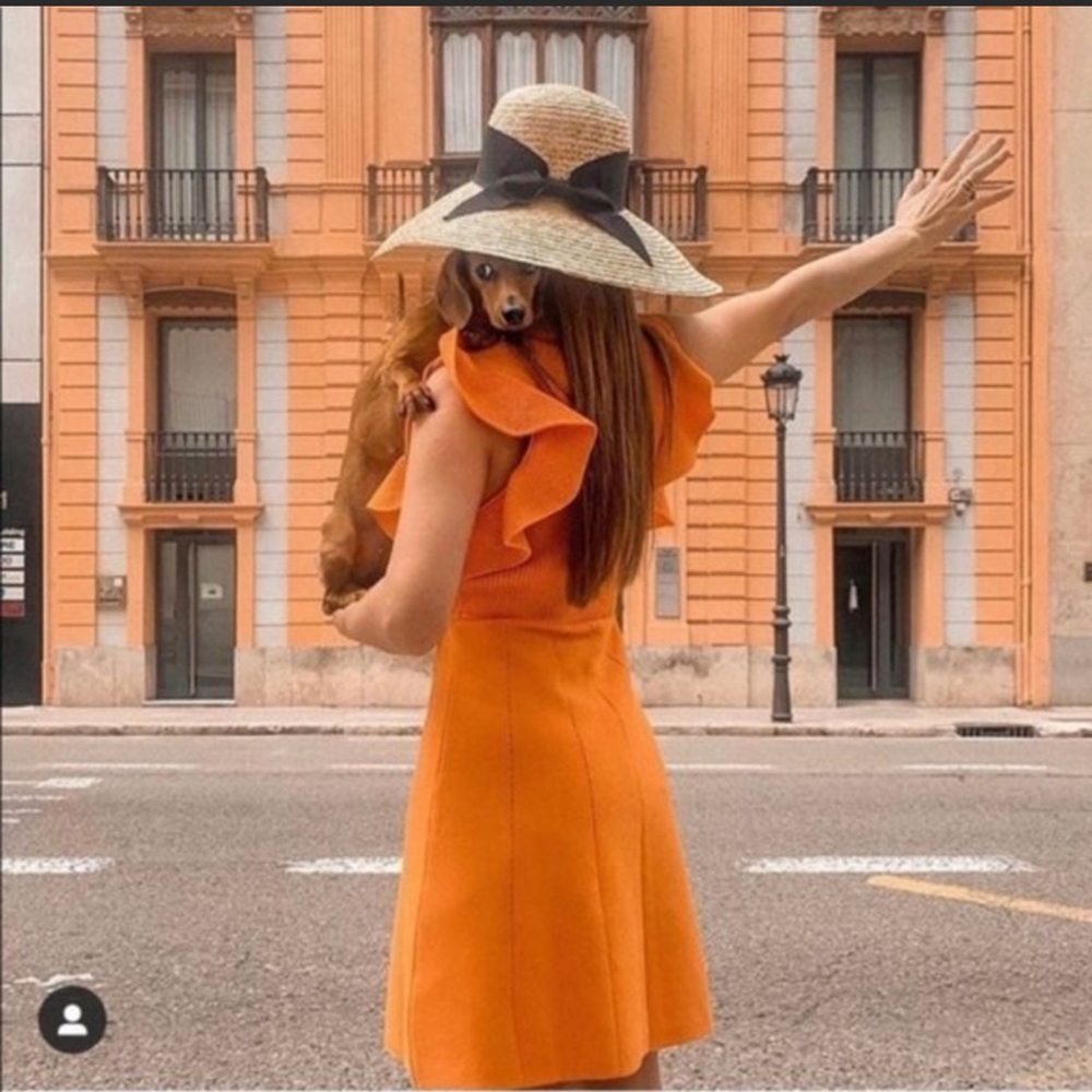 NWT Blogger Favorite Orange Zara Knit Dress